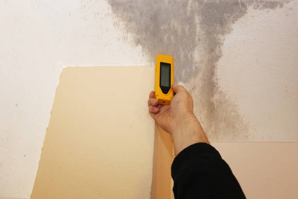 Best Commercial Mold Inspection  in East Merrimack, NH